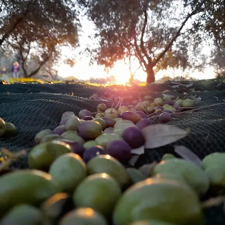 krevet i doručak Marijana 4*