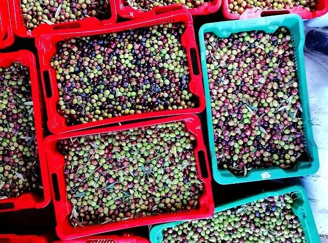 Marijana 4* Malinska