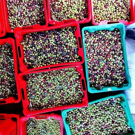 Marijana 4* Malinska