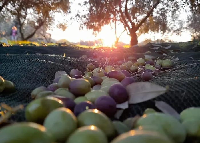 Bed & Breakfast Marijana 4*